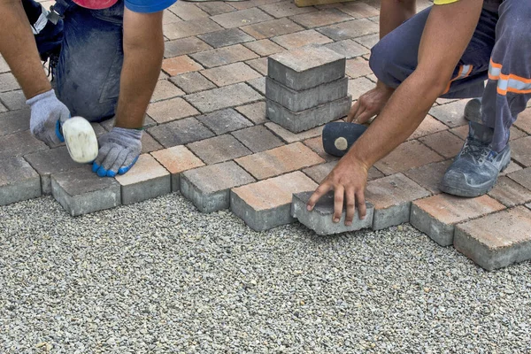 Master lay and install floor bricks on a public surface. The base is small stone and they fit concrete decorative pieces of brick.