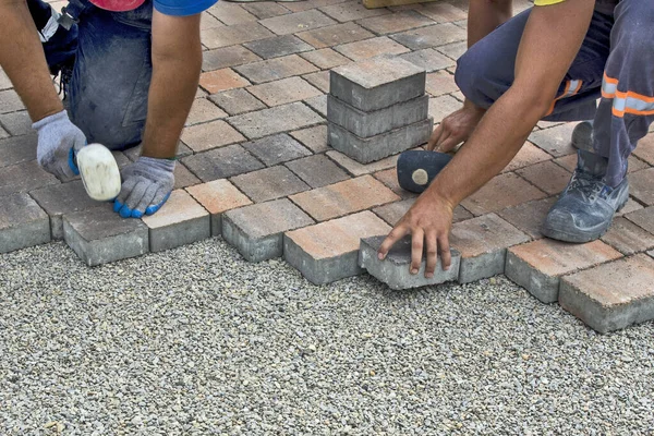 Usta halka açık bir zemine tuğla döşedi ve yerleştirdi. Taban küçük ve beton dekoratif tuğla parçalarına uyuyor..