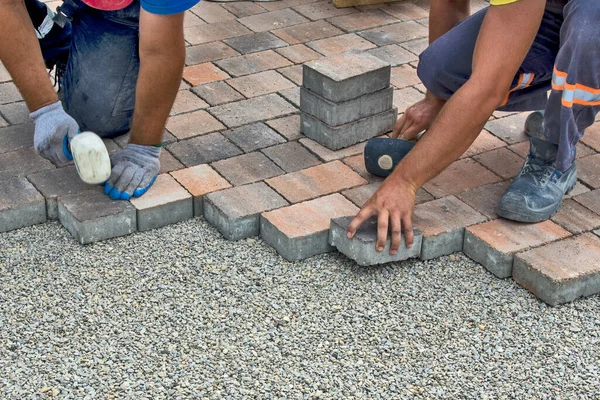 Maestro Poner Instalar Ladrillos Piso Una Superficie Pública Base Piedra Fotos de stock