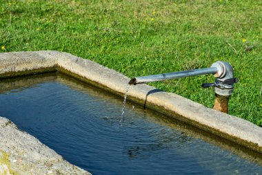 Banat 'ta bir çayır üzerindeki Artesian çeşmesi. Hayvanların otlatıldığı bir yer de var. Su kalıcı olarak beton tanka akıyor..