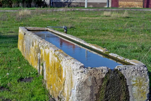 Artesischer Brunnen Banat Auf Einer Wiese Der Nähe Befindet Sich — Stockfoto