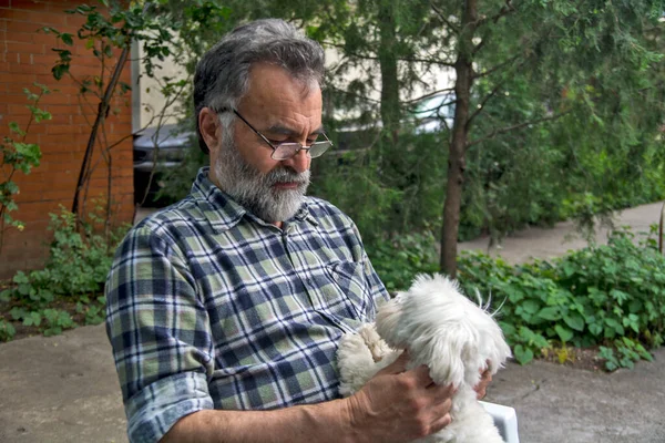 Homme Joue Avec Son Petit Chien Maltais Ils Apprécient Tous — Photo