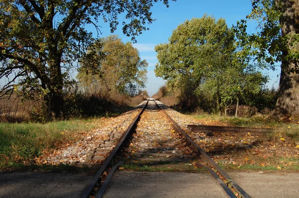 The railroad to nowhere — Stock Photo, Image