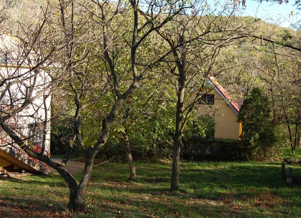 Chalets dans la forêt — Photo