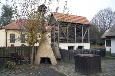 avlusu 