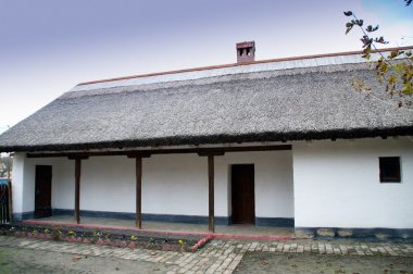 House thatched çatı