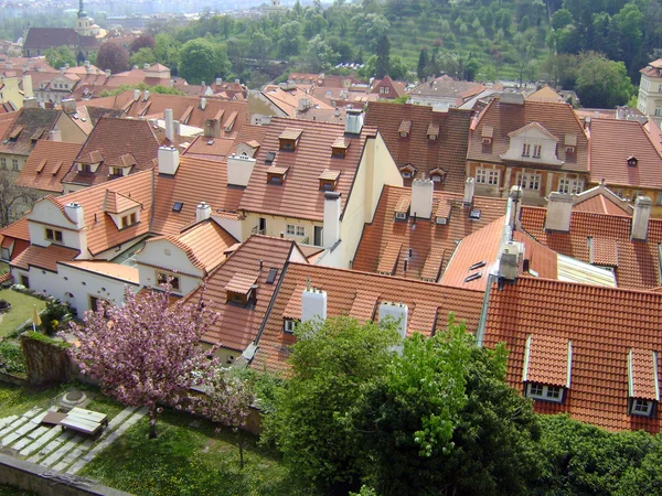 Roofs of Prague — Stock Photo, Image