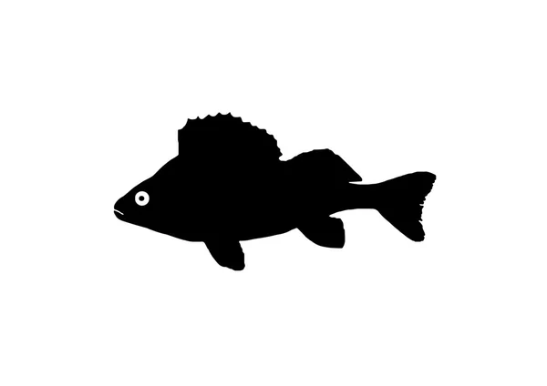 Abborre fisk siluett — Stockfoto