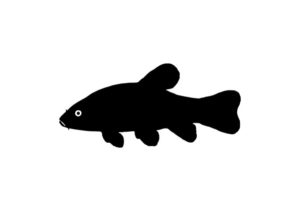 Schleienfischsilhouette — Stockfoto
