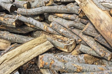 Depolarda yakacak odun