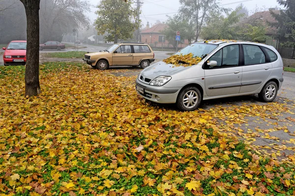 Parcheggio auto in autunno — Foto Stock