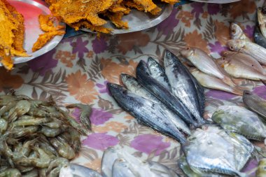 Bir market tezgahında sergilenen taze balık ve mürekkep balığı çeşitleri, gümüş gövdeler ve ıslak masa üzerinde yakın sıralanmış düz balıklar.