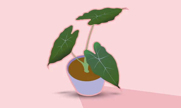 Esrarda koyu renk arkaplan fotoğraf çerçevesi Philodendron grafik deseni.