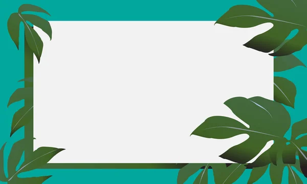 Koyu yeşil arkaplan çerçevesi, Philodendron grafiksel deseni çömlekte.
