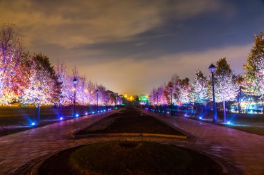 Tsaritsyno. Uluslararası Festivali ışık daire. 