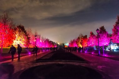 Tsaritsyno. Uluslararası Festivali ışık daire. 