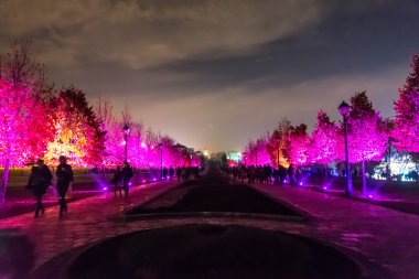 Tsaritsyno. Uluslararası Festivali ışık daire. 