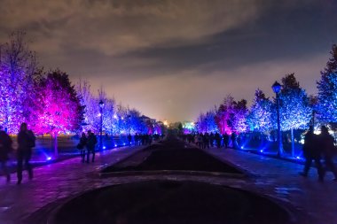 Tsaritsyno. Uluslararası Festivali ışık daire. 