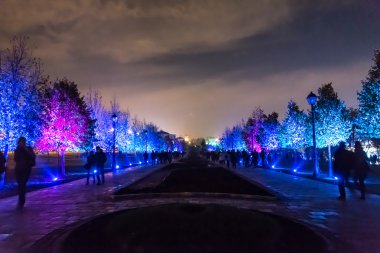 Tsaritsyno. Uluslararası Festivali ışık daire. 