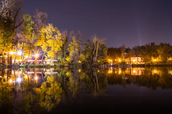 Gece parkta göle.