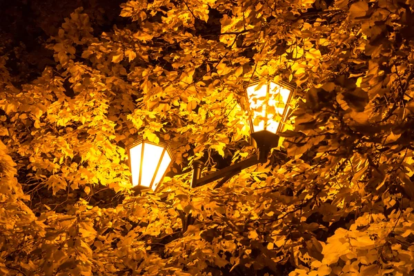 The street lamp in the leaves of the autumn trees. — Stock Photo, Image