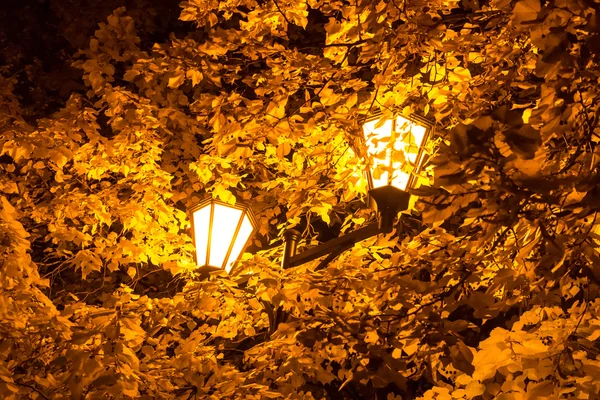 The street lamp in the leaves of the autumn trees. — Stock Photo, Image