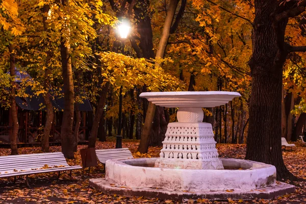 El otoño en el jardín de Neskuchny . Imágenes de stock libres de derechos