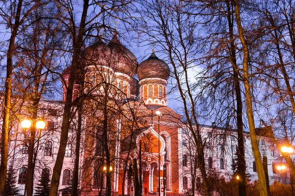 Ilha de Izmailovsky. Catedral de Pokrovsky . — Fotografia de Stock