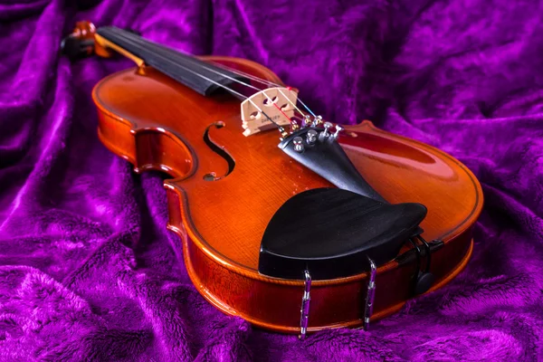 A lila hegedű. — Stock Fotó