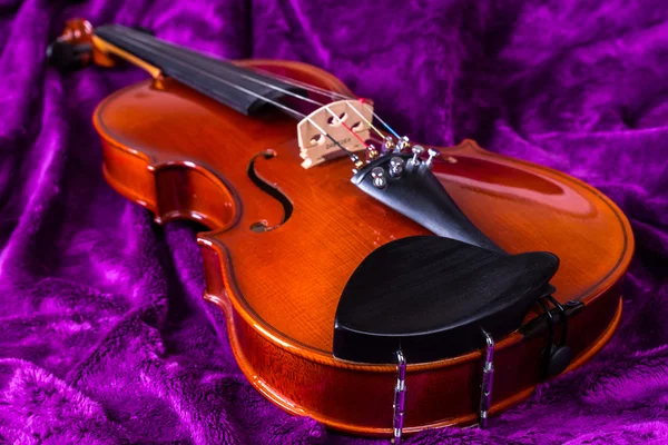 Geige auf Violett. — Stockfoto