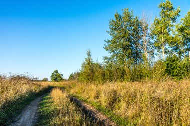 Bir tarlada toprak yol.