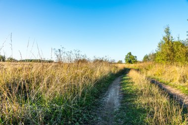 Bir tarlada toprak yol.