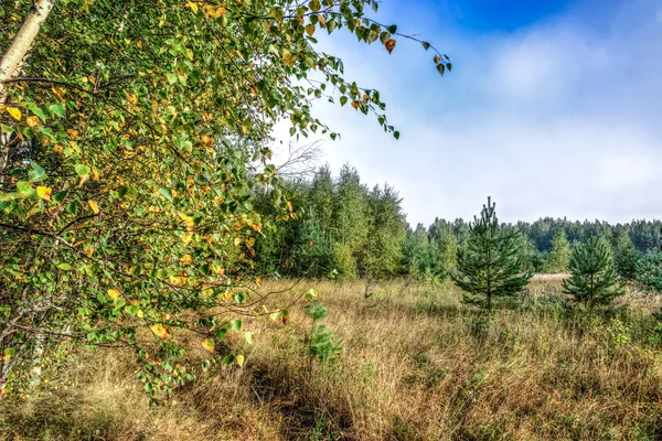 Toamna. Peisaj de dimineață . — Fotografie, imagine de stoc