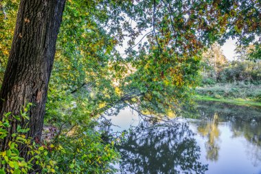 Nehre Kirzaç asılı ağaç.