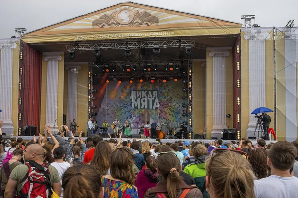 Hudební festival divoké máty. — Stock fotografie