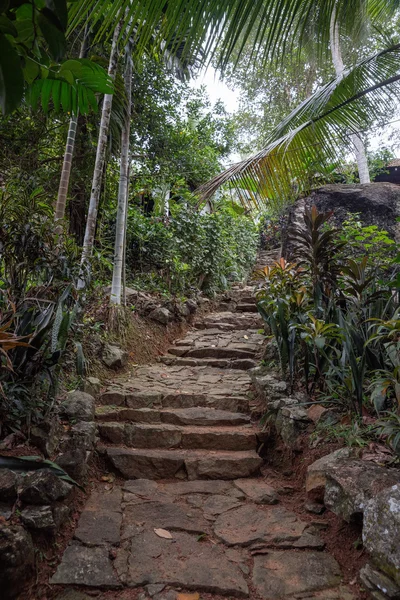 Las escaleras a la Casa entre la Selva . — Foto de Stock