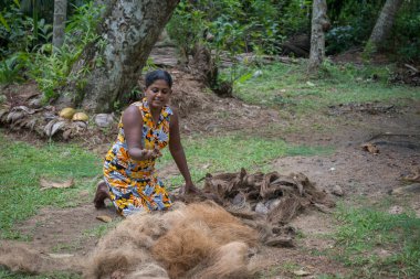 Hindistan cevizi kabuğu kadın kolları.
