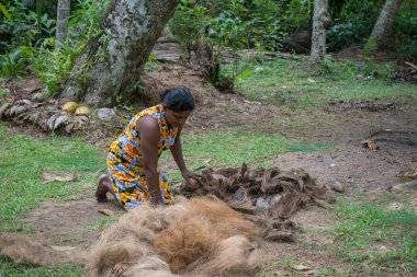 Hindistan cevizi kabuğu kadın kolları.