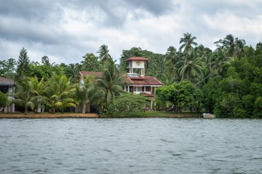 Nehir kıyısında üzerinde orman arasında ev.