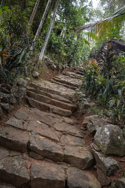 The stairs to the House among the Jungle.
