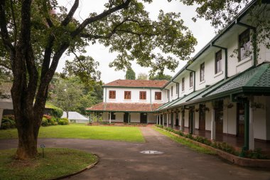 Carpological Müzesi koleksiyonu.