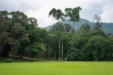 Kraliyet Botanik Bahçesi.