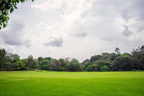 El Real Jardín Botánico . — Foto de Stock