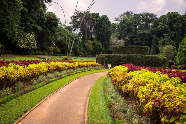 El Real Jardín Botánico . — Foto de Stock