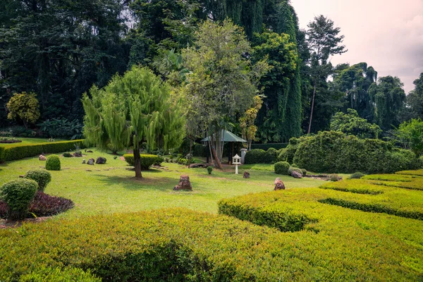 El Real Jardín Botánico . — Foto de Stock