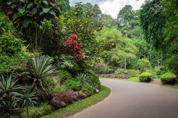 El Real Jardín Botánico . — Foto de Stock