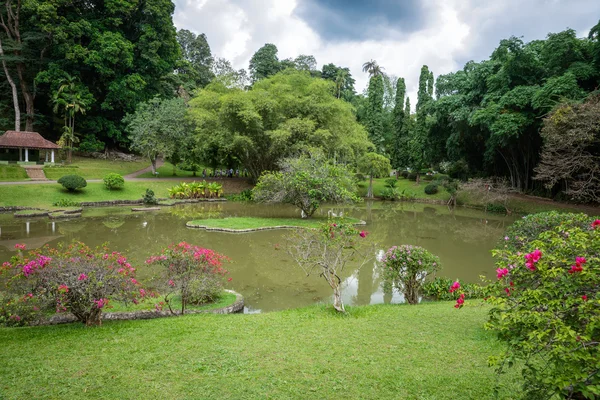 El Real Jardín Botánico. El lago Sri Lanka . — Foto de Stock