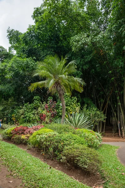 El Real Jardín Botánico . — Foto de Stock