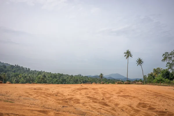 Sri Lanka doğası.