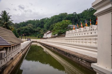 Diş Buda Tapınağı.